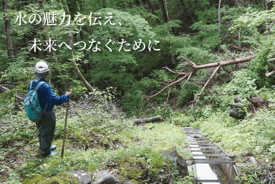 プロジェクトの未来