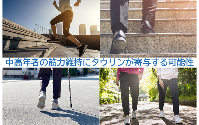 中高年者の筋力維持にタウリンが寄与する可能性を発見