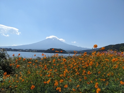 (大石公園)
