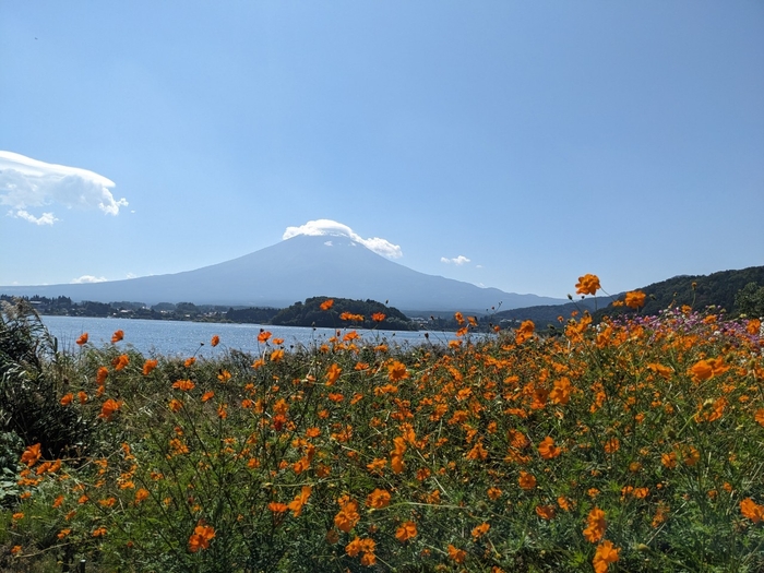 (大石公園)