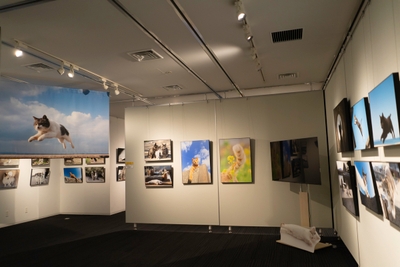 過去の展示の様子(郵政博物館)2