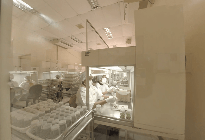 株式会社ドール様 「Doleバーチャル産地ツアー」