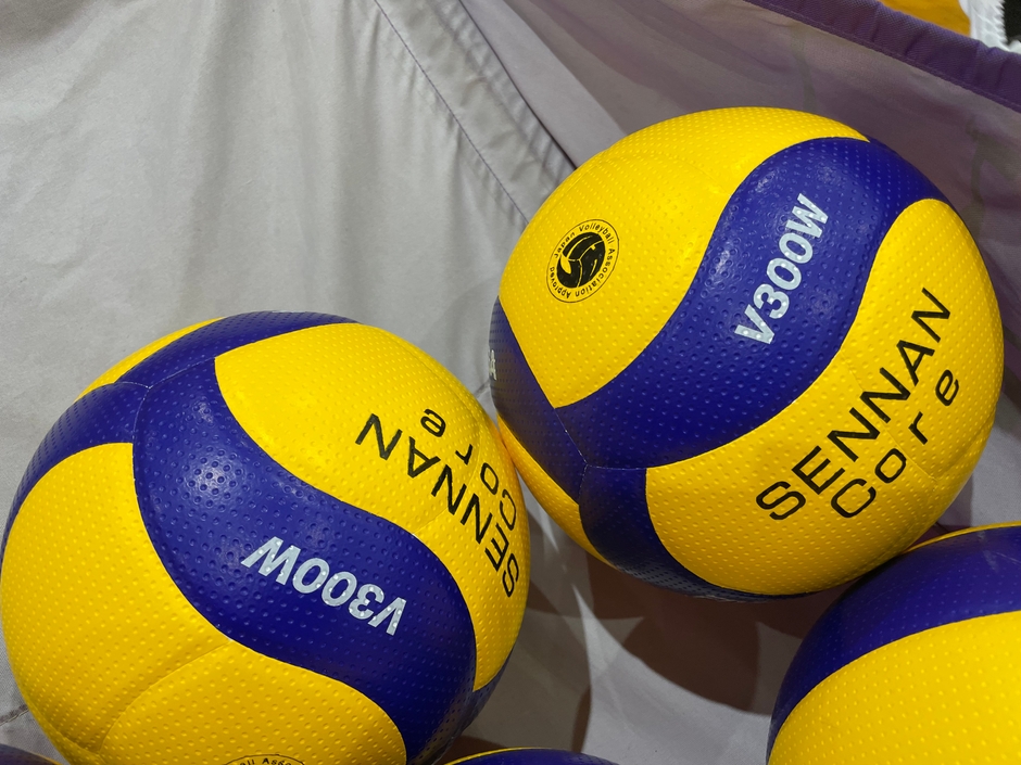 必要なボール、単価7,000円以上