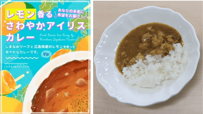 パッケージ/カレー外観