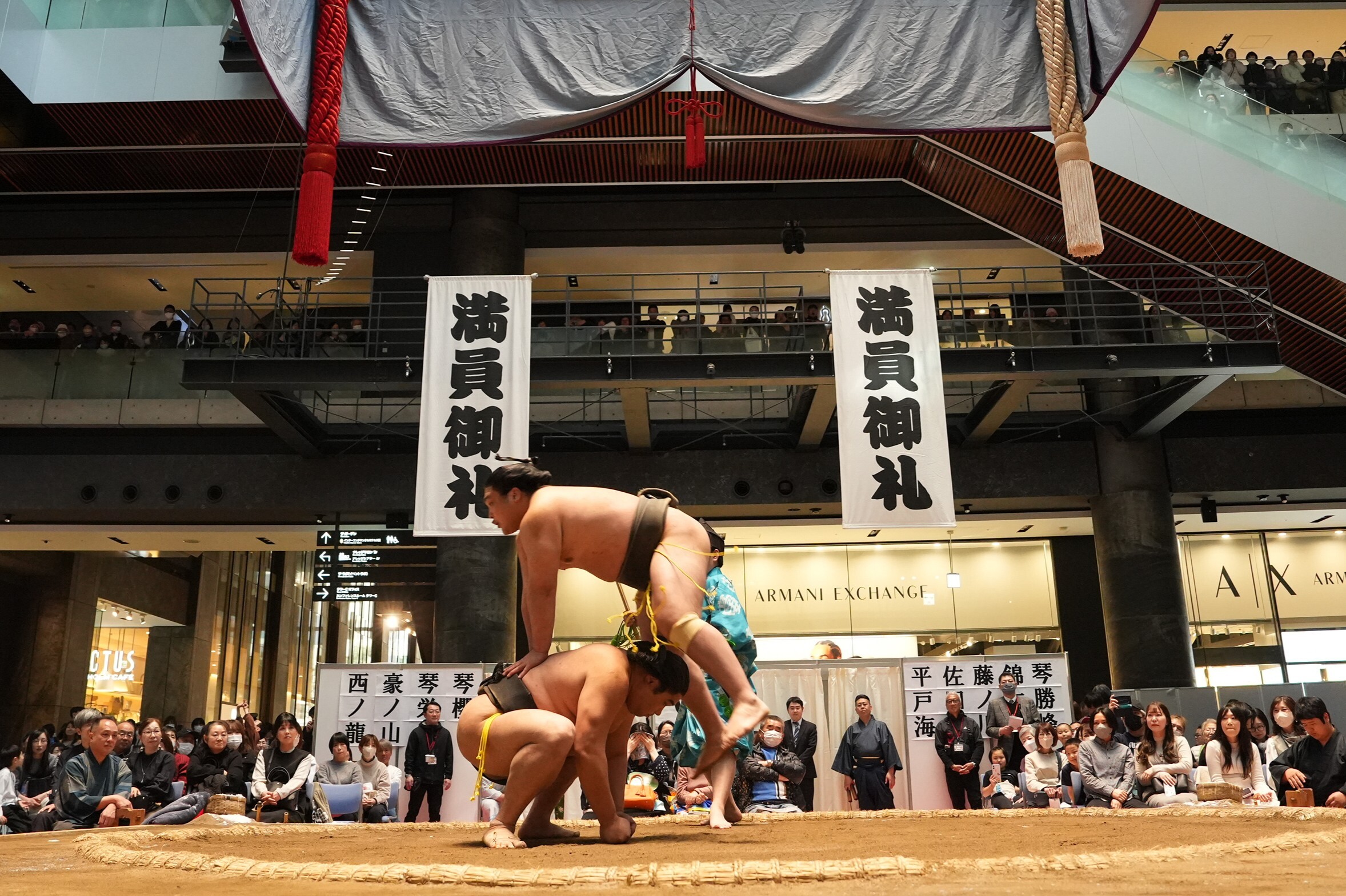 ユーモアたっぷりの初切