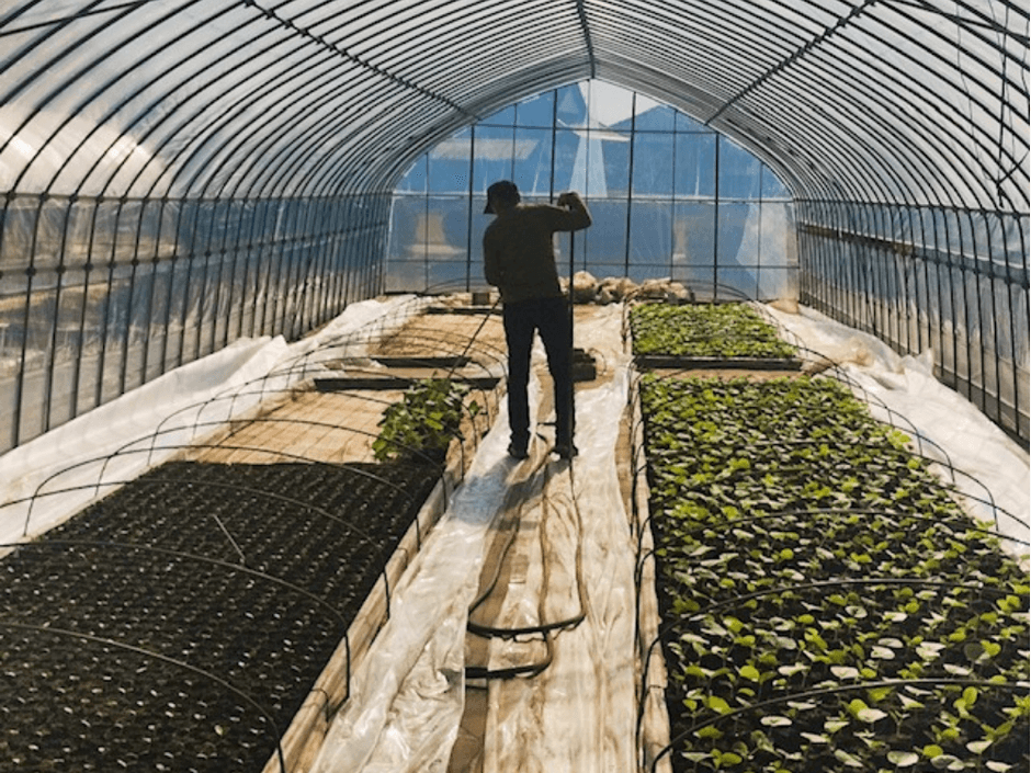 メロンビニ ールハウス