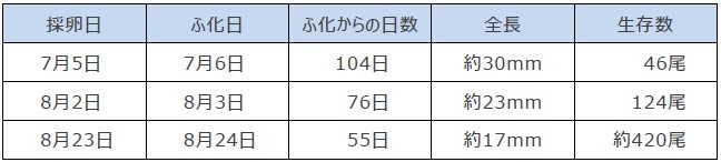 令和5年（2023年）10月18日時点の計測結果