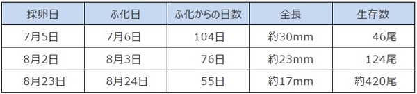 令和5年(2023年)10月18日時点の計測結果