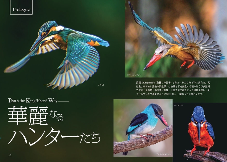 華麗なるハンターたち