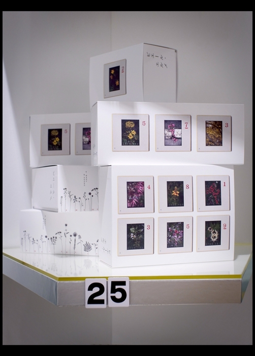 店舗限定マカロンBOX:3個詰合わせ(1,512円)、6個詰合わせ(2,808円)、10個詰合わせ(3,996円)