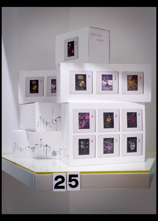 店舗限定マカロンBOX：３個詰合わせ(1,512円)、６個詰合わせ(2,808円)、10個詰合わせ(3,996円)