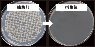 浮遊真菌の除去性能評価試験結果