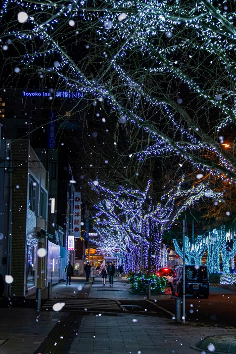 タイトル「雪のクリスマス」(投稿者:@pdm_4745)