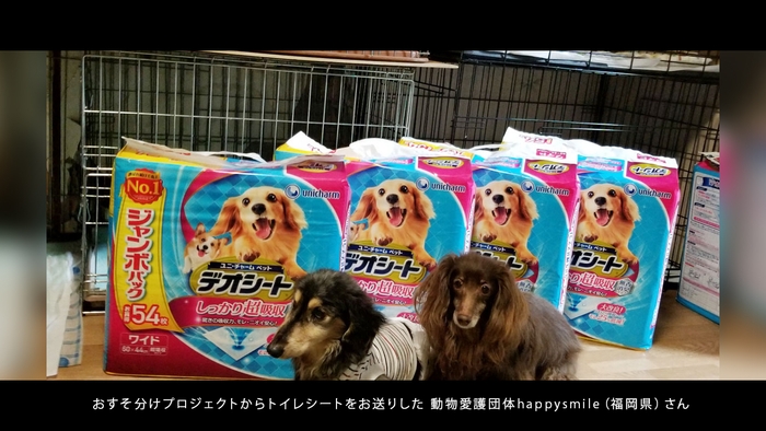 おすそ分けプロジェクトからトイレシートをお送りした動物愛護団体happysmile(福岡県)さん