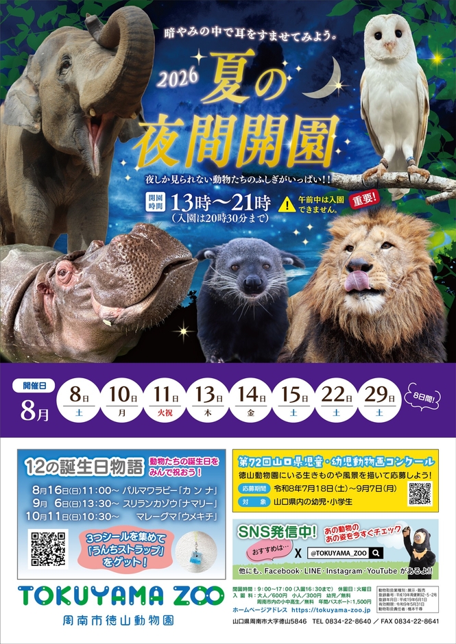 徳山動物園夏のイベントチラシ（裏面）