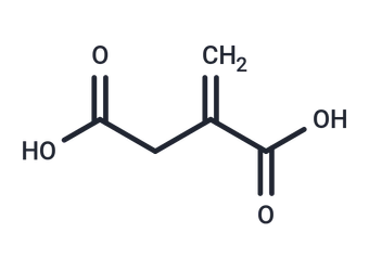イタコン酸市場規模推移：2026年144百万米ドルから2032年181百万米ドルへ拡大