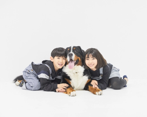 オープンから5ヶ月、442頭の家族写真を撮影した犬専門フォトスタジオ 「今をカタチに残したい」飼い主さんへ「犬の等身大フォトサービス」も