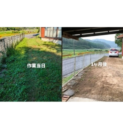 草がすぐ生い茂る夏に！“再生しづらい草取り”で除草　 広島発のサービス「草刈り侍」を提供開始