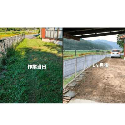 1ヶ月後の雑草の様子