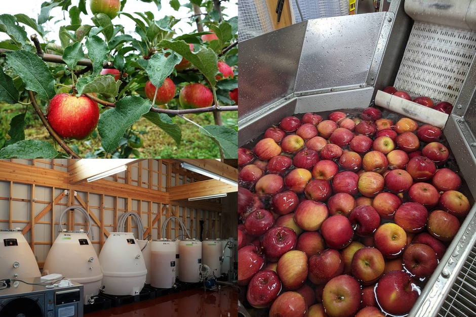 シードルの製造過程