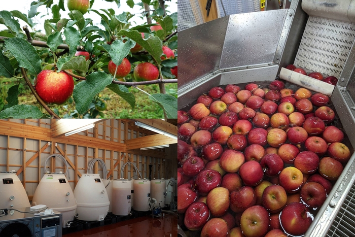 シードルの製造過程