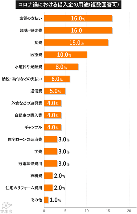コロナ禍における借入金の用途