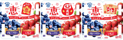 受験生応援パッケージブルーベリー+いちご天面デザイン