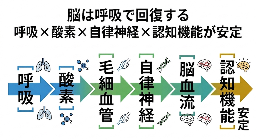 眠りづらさの正体──認知機能は呼吸の質に影響される　寝ると呼吸が弱くなるを優しく解説シリーズ第9回