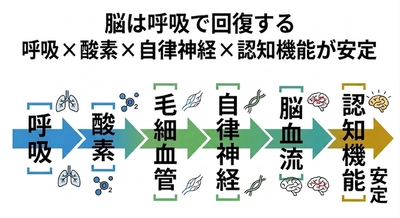 眠りづらさの正体──認知機能は呼吸の質に影響される　寝ると呼吸が弱くなるを優しく解説シリーズ第9回