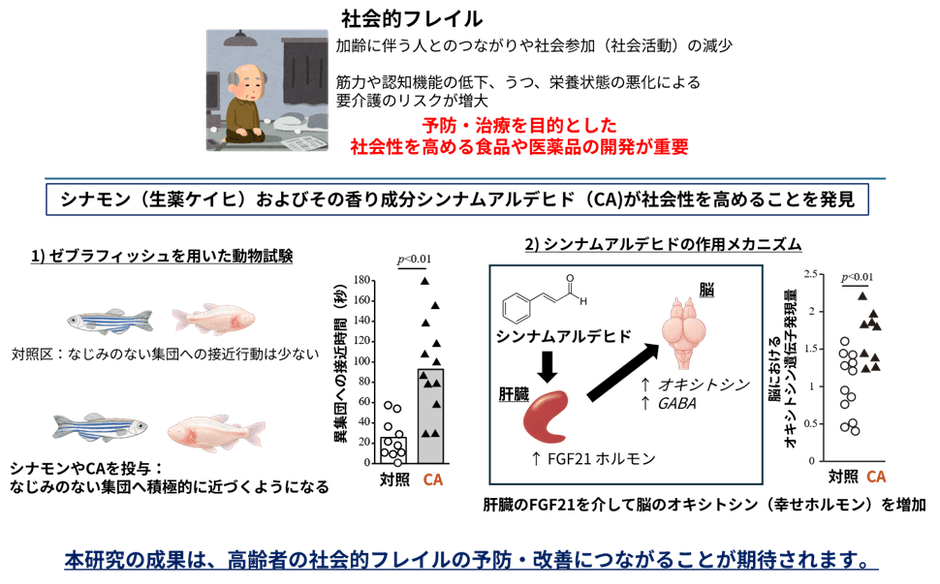 研究成果概要