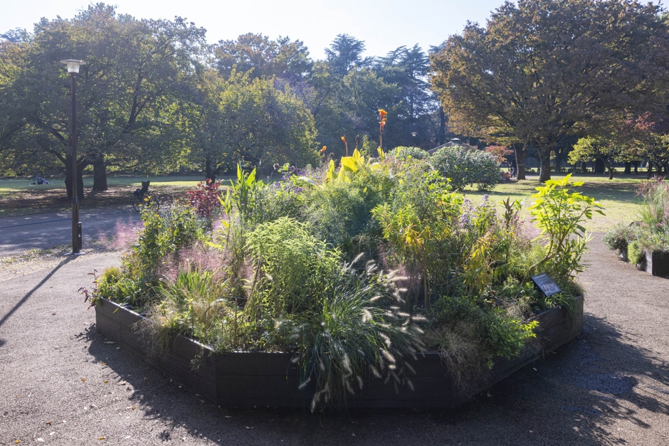 Eガーデンの様子（11月）