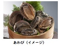 あわび（イメージ）