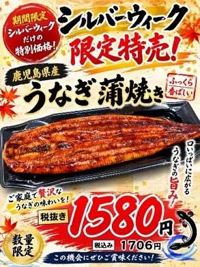 鹿児島県産　うなぎ蒲焼き