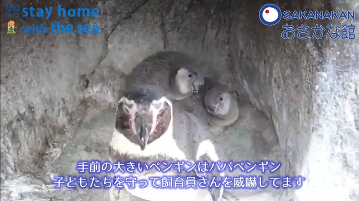 虹の森公園 おさかな館