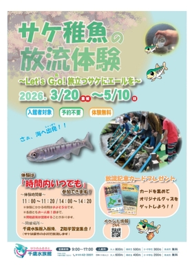 千歳川で「サケの稚魚放流」が3/20解禁!