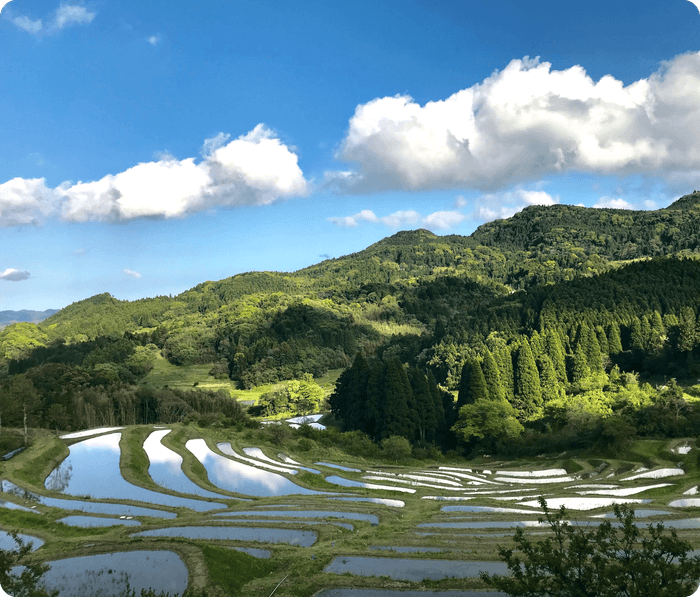 大山千枚田保存会