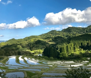 都心から約90分の“日本の原風景” 千葉・鴨川の里山エリアで楽しむ　古民家宿＆カフェ5選