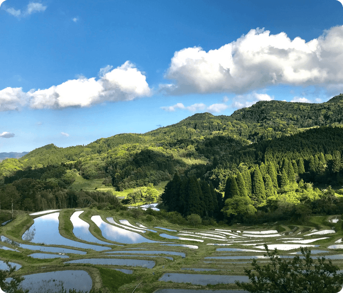 大山千枚田保存会