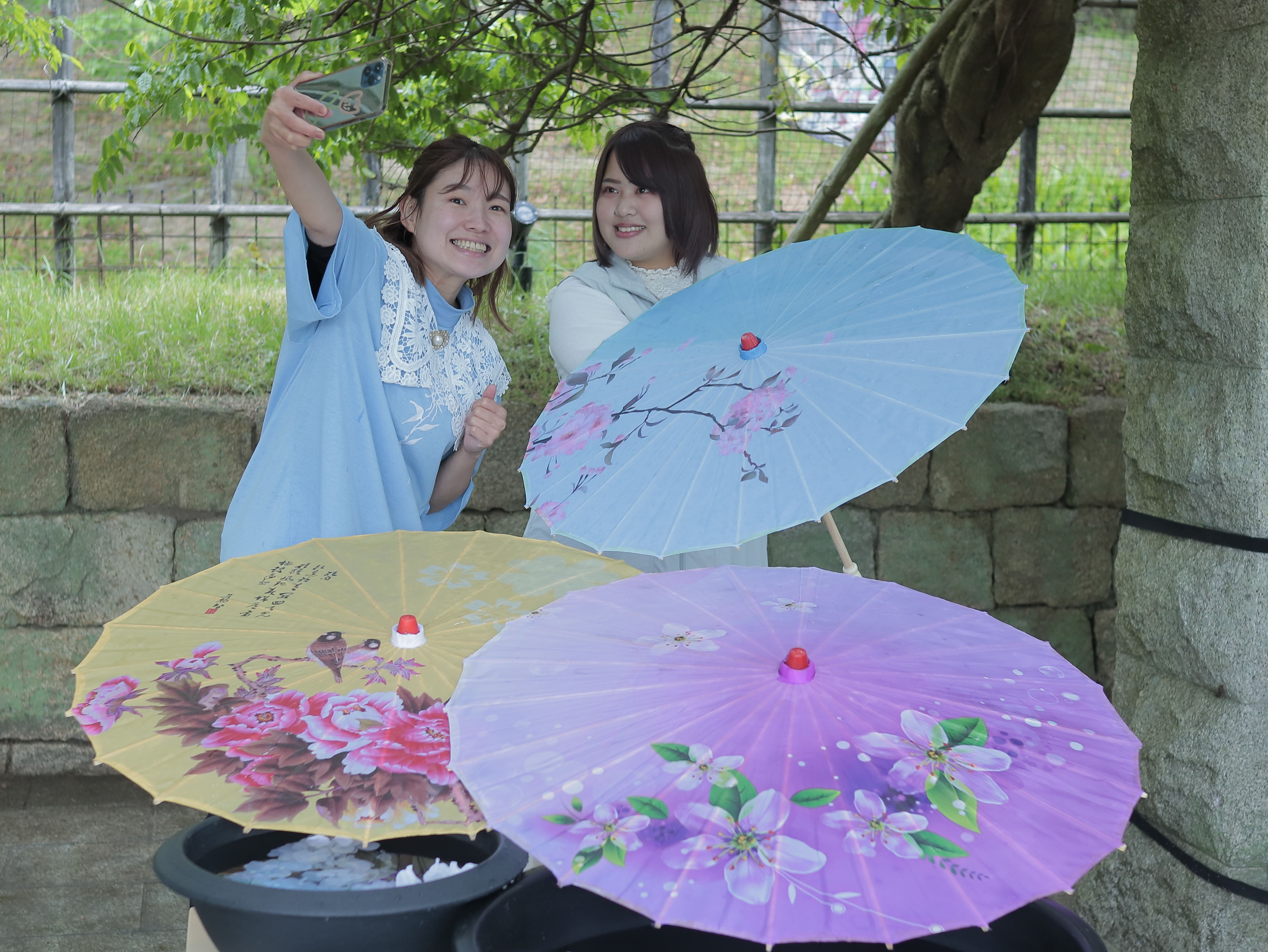 5月からは忍の世界を満喫できる五月雨(さみだれ)の季節!「NARUTO&BORUTO 忍里 五月雨祭2024」第4弾 「雨の日彩る 和傘イルミネーション」6月1日より開始