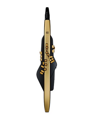 『Aerophone Pro Gold Limited Edition』正面画像