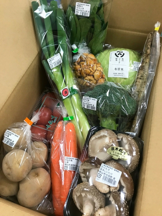 産地直送!ふくしま旬の野菜BOX