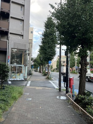設営前の静かな歩道