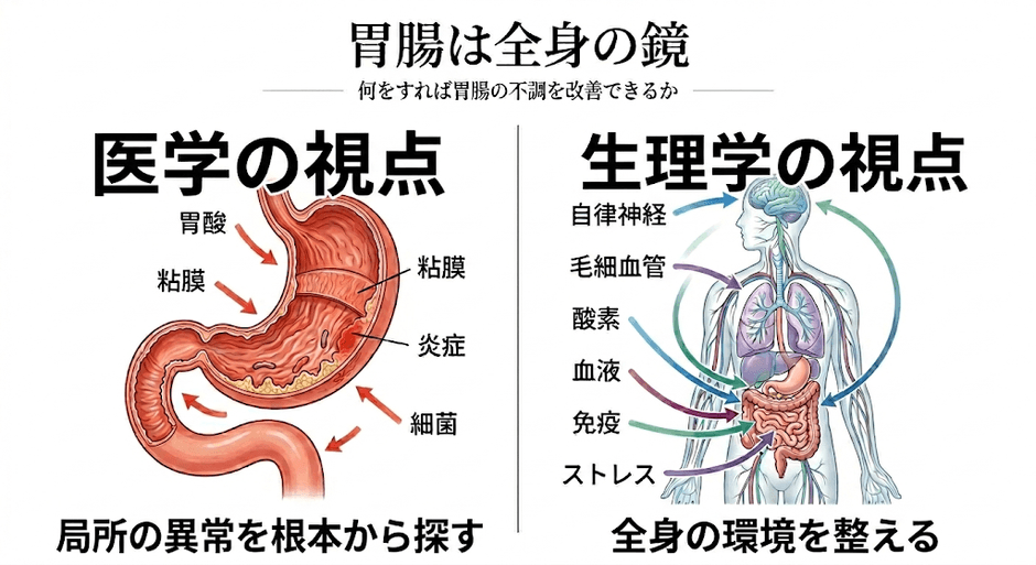 胃腸が弱る本当の理由は"食べ物"ではなかった──睡眠中の呼吸の乱れが、からだの回復力に影響する新しい視点