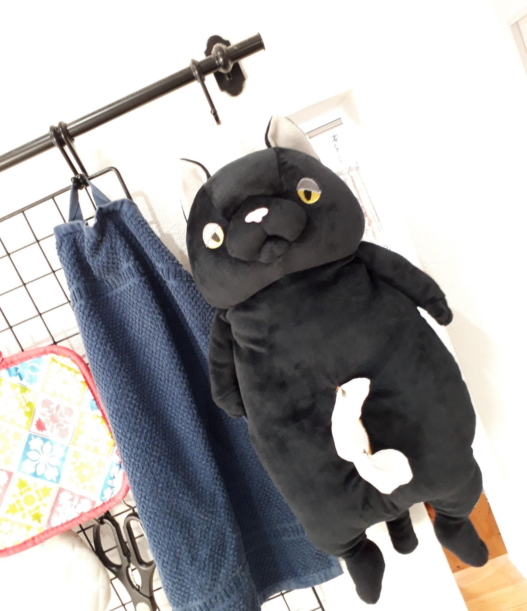 もふもふの肌触り(*^^*)癒やされる『もちねこ』BOXティッシュケース