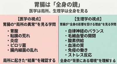 胃腸は「全身の鏡」── "生理学"で読み解けば、胃腸不調の本質が見える。第３回