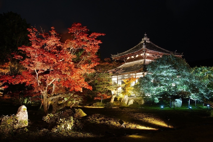 ライトアップされた舎利殿と庭園（2018年撮影）