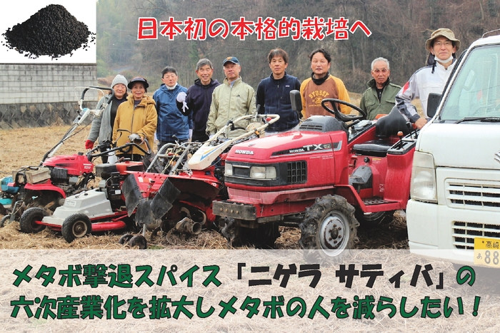 ニゲラ栽培のサポーター(群馬県安中市)