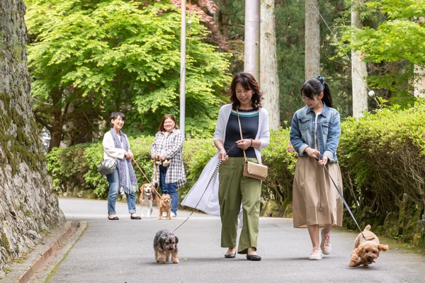 ドッグランやワンコお守りなど愛犬とともに参拝を歓迎する取組を 日本遺産・西国三十三所の古刹が実施し来場者(犬)数が10倍に増加