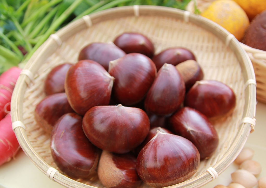 兵庫・丹波の秋の味覚「丹波栗」の予約販売開始! 今年は2L・3Lサイズが新登場! X(旧Twitter)でもプレゼントキャンペーン実施中!