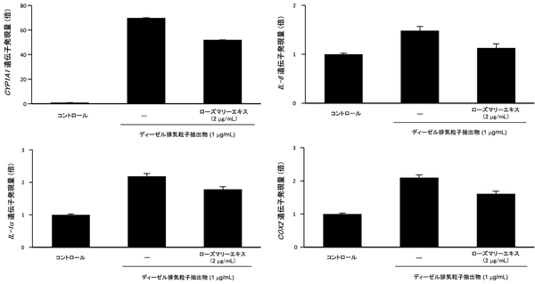 図２　ローズマリーエキスのディーゼル排気粒子抽出物による、薬物代謝酵素及び炎症関連遺伝子発現上昇抑制効果